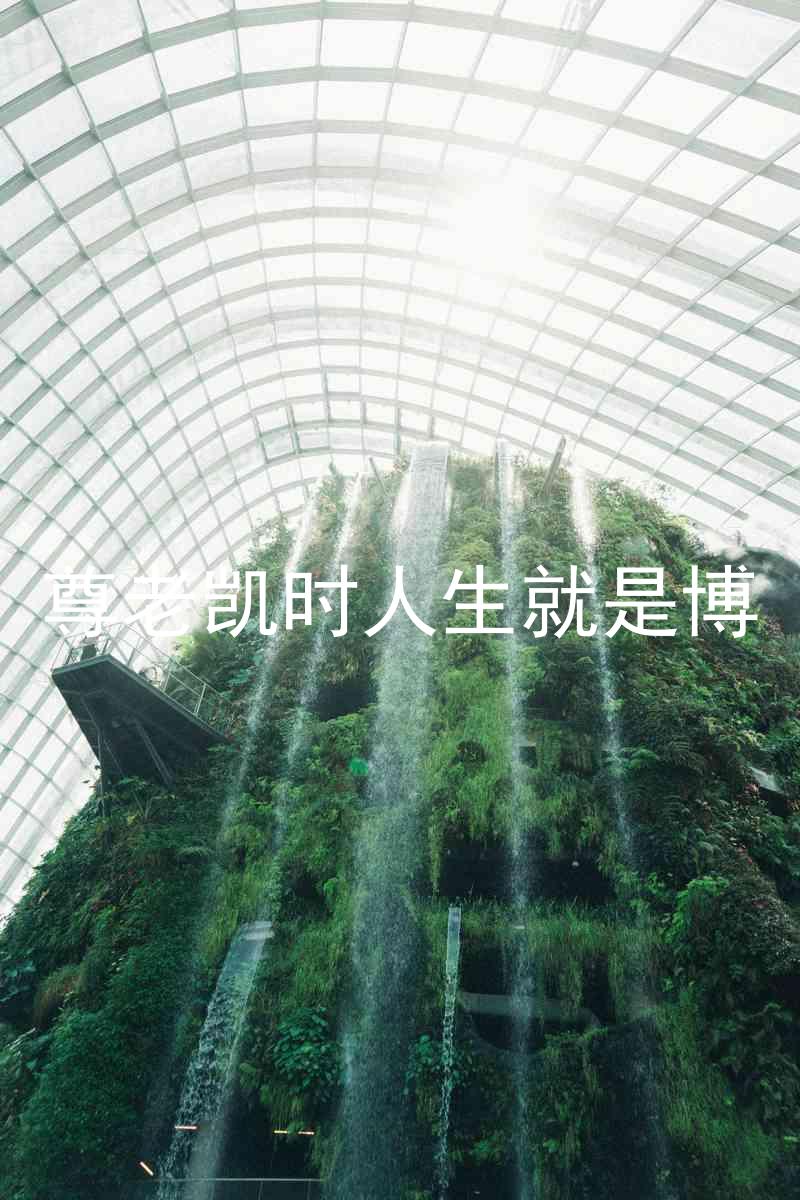 尊老凯时人生就是博